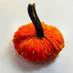 “Pumpkin Princess” Velvet Pumpkins Home Decor